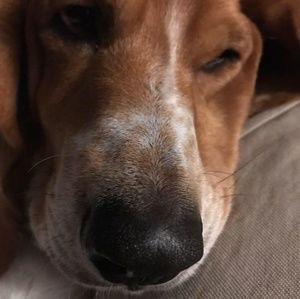 Meet your Posher, Kenny